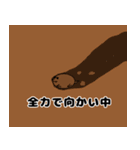 モグラのモグたん（個別スタンプ：3）