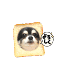 プロペラ5（個別スタンプ：1）