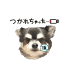 プロペラ5（個別スタンプ：4）