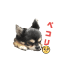 プロペラ5（個別スタンプ：7）