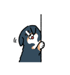 もちふわバーニーズ①（個別スタンプ：7）
