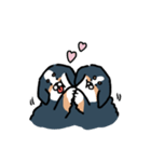 もちふわバーニーズ①（個別スタンプ：8）