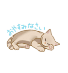 -猫との暮らし-（個別スタンプ：4）