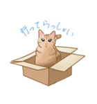 -猫との暮らし-（個別スタンプ：18）