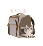 -猫との暮らし-（個別スタンプ：19）