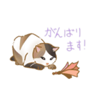 -猫との暮らし-（個別スタンプ：22）