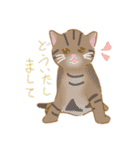 -猫との暮らし-（個別スタンプ：24）