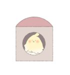 ゆるグラタンカラーオカメインコ（個別スタンプ：14）