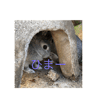 毎日使える！うさぎワクワクスタンプ（個別スタンプ：30）