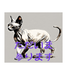 スフィンクス猫の水墨画風スタンプ（個別スタンプ：4）