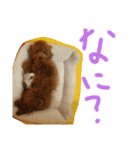 かわいいもじゃスタンプ❤（個別スタンプ：3）