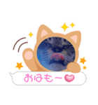 こうめ♀スタンプ（個別スタンプ：2）