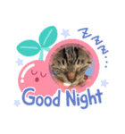 こうめ♀スタンプ（個別スタンプ：4）
