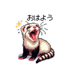 ドット絵 フェレット 40種（個別スタンプ：1）