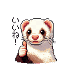 ドット絵 フェレット 40種（個別スタンプ：11）