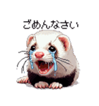 ドット絵 フェレット 40種（個別スタンプ：16）