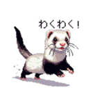 ドット絵 フェレット 40種（個別スタンプ：30）