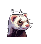 ドット絵 フェレット 40種（個別スタンプ：39）