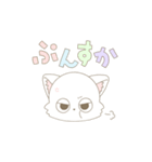 ふわふわ白ねこちゃんのスタンプ（個別スタンプ：9）