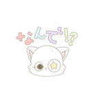 ふわふわ白ねこちゃんのスタンプ（個別スタンプ：12）