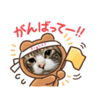 ムツゴロウ♂スタンプ2（個別スタンプ：5）
