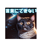 ハッピーアニマル_宇宙猫（個別スタンプ：3）