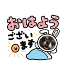 ひめとらぶ（個別スタンプ：1）