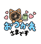ひめとらぶ（個別スタンプ：3）
