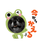 ひめとらぶ（個別スタンプ：7）