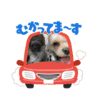 ひめとらぶ（個別スタンプ：8）