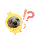 ひめとらぶ（個別スタンプ：9）