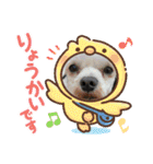 ひめとらぶ（個別スタンプ：13）