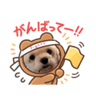 ひめとらぶ（個別スタンプ：15）