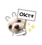 ひめとらぶ（個別スタンプ：18）