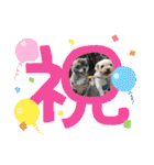 ひめとらぶ（個別スタンプ：27）