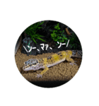 ピリ①（個別スタンプ：6）