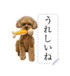 使いやすい犬たち（個別スタンプ：19）