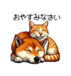 なかよしな柴犬とキジトラ ドット絵（個別スタンプ：2）