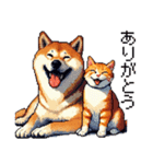 なかよしな柴犬とキジトラ ドット絵（個別スタンプ：3）