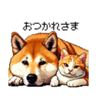 なかよしな柴犬とキジトラ ドット絵（個別スタンプ：4）