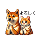 なかよしな柴犬とキジトラ ドット絵（個別スタンプ：5）