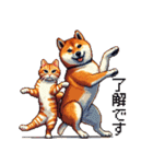 なかよしな柴犬とキジトラ ドット絵（個別スタンプ：6）