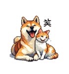 なかよしな柴犬とキジトラ ドット絵（個別スタンプ：8）