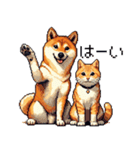 なかよしな柴犬とキジトラ ドット絵（個別スタンプ：9）