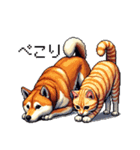 なかよしな柴犬とキジトラ ドット絵（個別スタンプ：10）