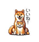 なかよしな柴犬とキジトラ ドット絵（個別スタンプ：11）