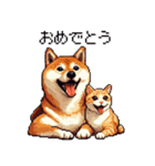 なかよしな柴犬とキジトラ ドット絵（個別スタンプ：13）