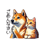 なかよしな柴犬とキジトラ ドット絵（個別スタンプ：14）