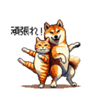 なかよしな柴犬とキジトラ ドット絵（個別スタンプ：15）