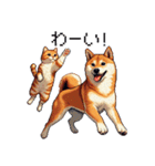 なかよしな柴犬とキジトラ ドット絵（個別スタンプ：17）